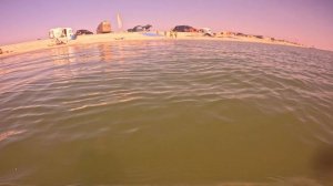 Подводный мир Азовского моря!