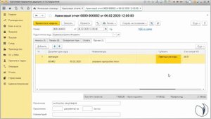 Работа по формированию авансового отчета и заполнению кассовых документов I Крысанова Анастасия.РУНО