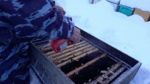 Необычная просьба