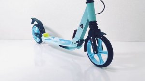 Самокат двухколёсный для детей и взрослых Scale Sports SS-10