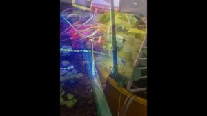 Клубника дома на гидропонике