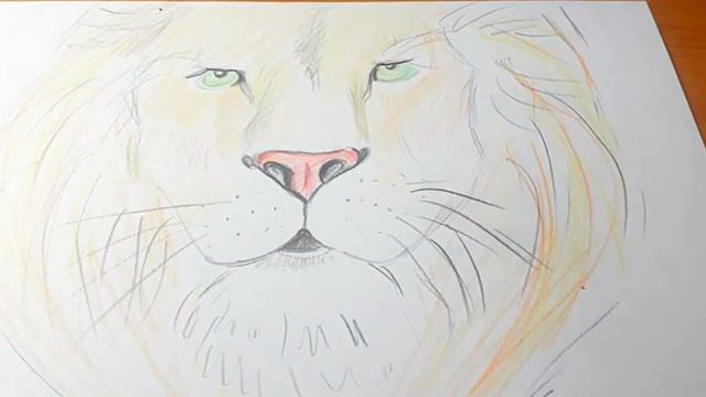 Как рисовать цветными карандашами. нарисовать льва. Карандашом. смотреть онлайн