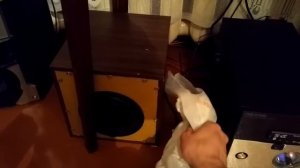 Домашний кинотеатр своими руками. Аккустика