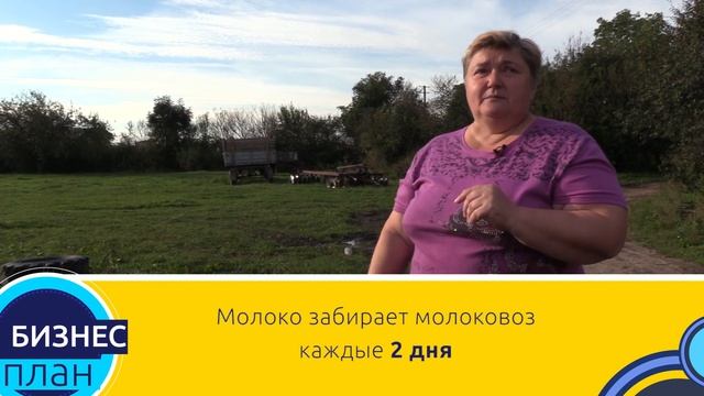 Семейная молочная ферма. Бизнес-план