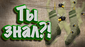 Спорим, ты не знал?! (2 часть)