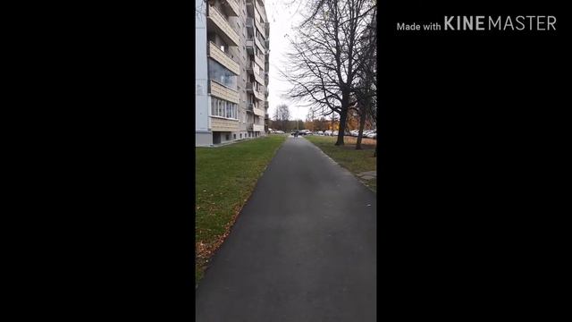 Белка и кошка 2017-2019 смотреть онлайн