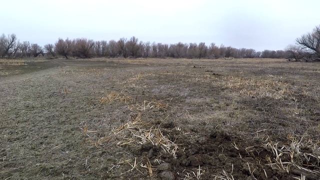 Коп Металолома около Фермы смотреть онлайн