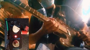 Mooer Blues Crab Demo
