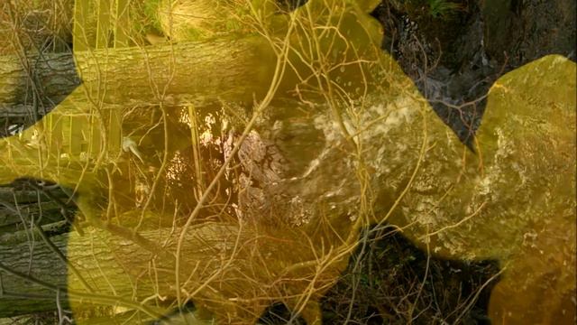 Tarland and the Tomnaverie Stones - (RV/Motorhome/Van Life Scotland) смотреть онлайн