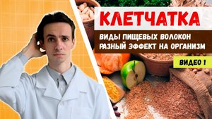 Клетчатка. Как разные виды пищевых волокон ? влияют на наш организм ?