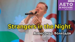 "Strangers in the Night" Александр Волкодав - Зелёный театр Бабушкинского парка, Москва 15.06.24