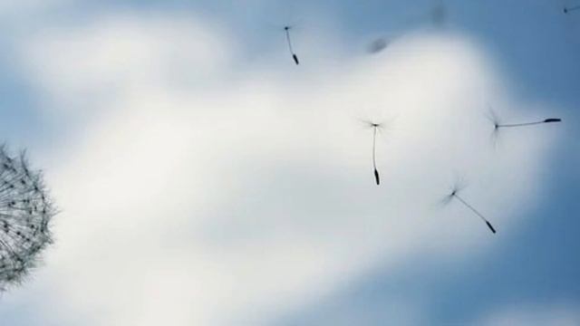 Фантазерам на радость смотреть онлайн