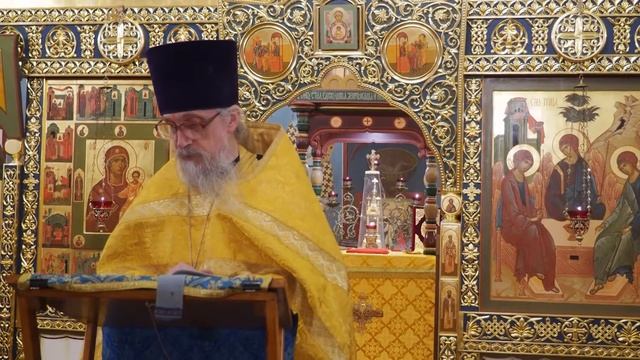 Отец Алексей Проповедь 06 11 2022 смотреть онлайн