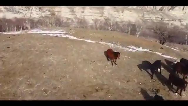 Сивух Гумбетовский р. смотреть онлайн