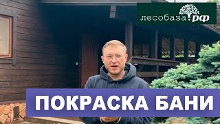 Покраска бани из клееного бруса