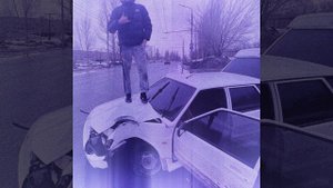 кабан в приоре