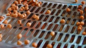 Оборудование для переработки фундука