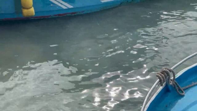 Highlights from Spectacular Santa Cruz in the Galapagos Archipelago смотреть онлайн