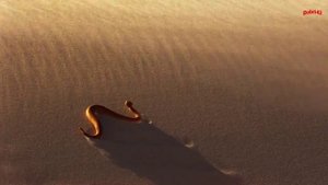 Омар Хайям - Дай чашу и слушай (Omar Khayyam).mp4