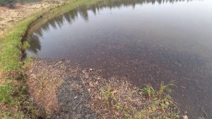 НА РЫБАЛКУ В ОЙМЯКОН. МОЙ ПУТЬ ЗА ГОЛЬЦОМ.