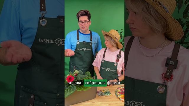 Гибридные семена