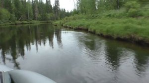 ЛОВЛЯ ХАРИУСА НА ТАЕЖНОЙ РЕКЕ