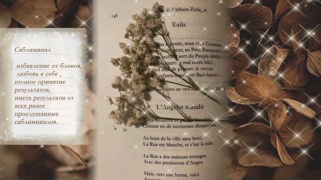 МЕГА саблиминал. Удаление блоков и страхов. Полная восприимчивость к сабам, изменение мышления. смотреть онлайн