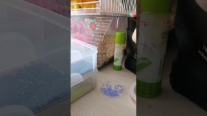 ашка из бисера туториал
