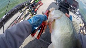 The Biggest LIE About CRANKBAITS (Catch Fish on Broken LURES?!?)