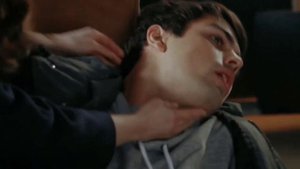 Кирилл Дыцевич: Подснежник