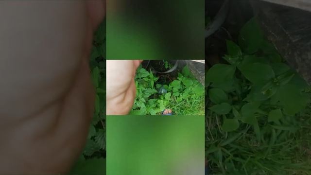 Машина дёргается глохнет и нет тяги,проблема решена