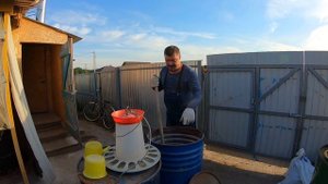МОЖНО ЛИ ДЕРЖАТЬ В ИЖС СВИНЕЙ | КЕМ ПРИНИМАЕТСЯ РЕШЕНИЕ | Что с ценами на зерна? | Работа на участк