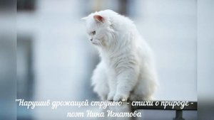 " Нарушив дрожащей струною" - стихи о природе - поэт Нина Игнатова