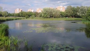 Минск район Серебрянка Слепянская водная система. Walking tour in Minsk. The beauty of Minsk. Hikin