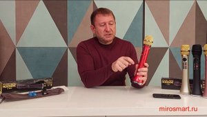 Обзор караоке-микрофона L 699 DSP 20W