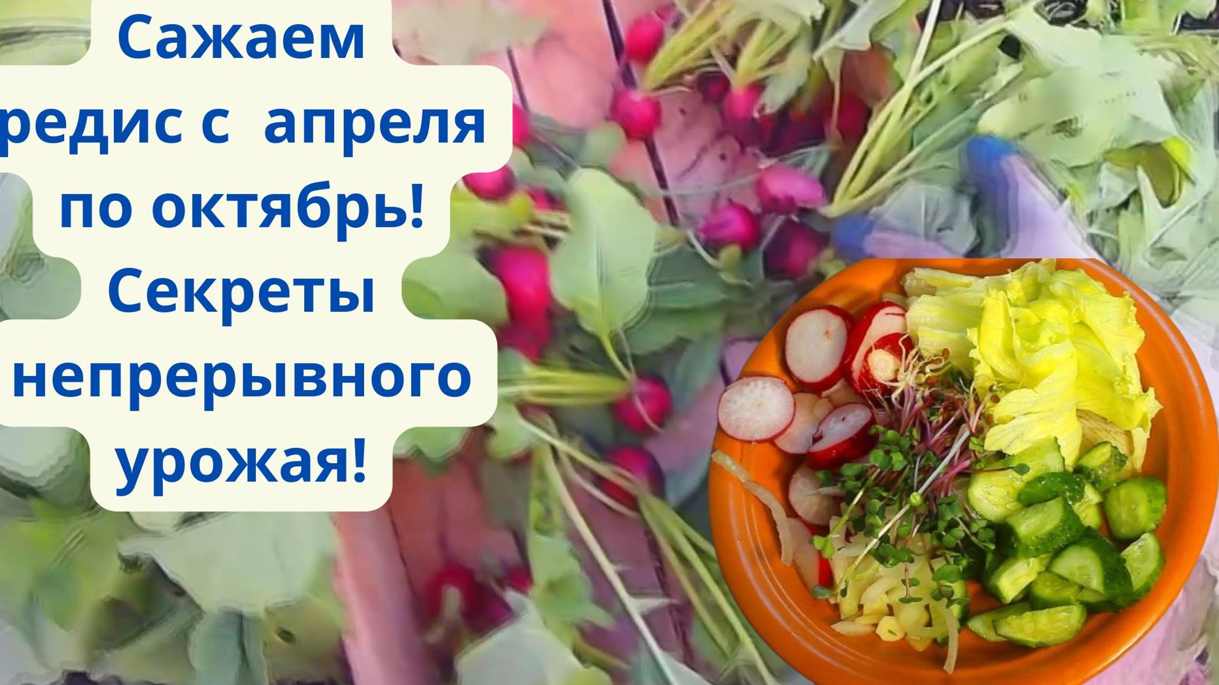 ВЫРАЩИВАЙТЕ РЕДИС ТОЛЬКО ТАК! КАК ВЫРАСТИТЬ КРУПНЫЙ РЕДИС!!!