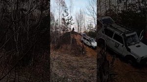 Нива с мотором C20NE