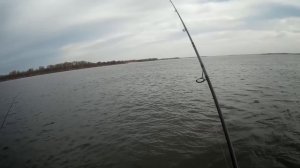 PAL 2019 ФИНАЛ, НИЖНЯЯ ВОЛГА, 1 тур. TEAM DUBNA. Ловля СУДАКА и ЩУКИ НА ДЖИГ по СТРУКТУРНИКУ!!!