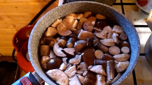 ОТВАРНЫЕ ГРИБЫ ПОД ЖАРЕНУЮ КАРТОШКУ.?? смотреть онлайн