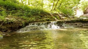 Природа — Майский ручей — Пение птиц