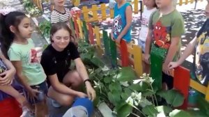 фильм ,Хоста, Катерина Сергеевна.mp4