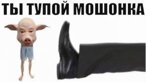 ✅ Тупоголовый разводила опять был послан / мошенники звонят по телефону