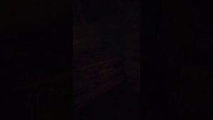 На пмж в Беларусь, знакомство с нашим домом