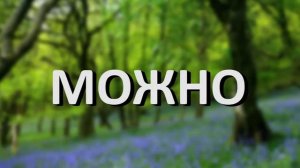 MC Пох Весенний лес 1
