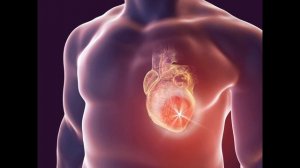 Окружающий мир 2 класс ч.2, тема урока "Строение тела человека", с.4-7, Школа России.