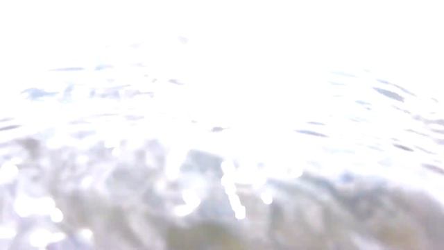 Подводная охота в Черном море, Донузлав. Охота на течении кефаль, лобан. смотреть онлайн