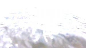 Подводная охота в Черном море, Донузлав. Охота на течении кефаль, лобан.