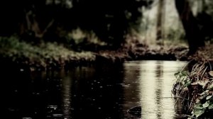 Цвет из иных миров. Автор-Говард Лавкрафт. ИсторииТО. Мистическая история. Ужасы.