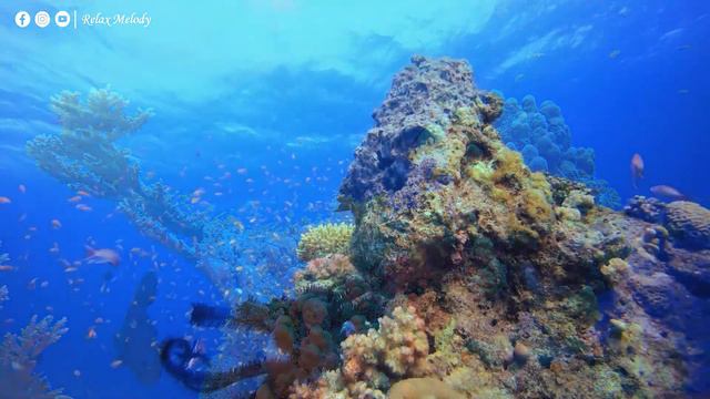 Успокаивающая музыка для нервов 🌿 Лечебная музыка для сердца и сосудов, расслабление #89 смотреть онлайн