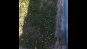 Обзор металлоискатель TC-500 Metal Detector,金屬探測器 TC-500 概述,Overview metal detector TC-500,